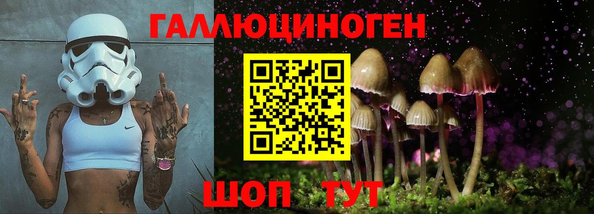 Галлюциногенные грибы мицелий  Вход с VPN  Галлюциногенные грибы ЛСД  Алексин 